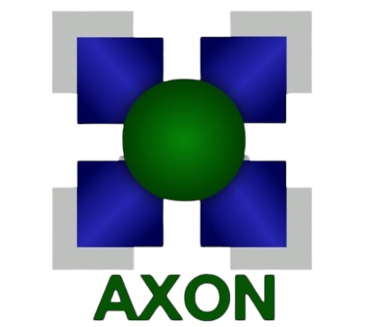 Axon Integrated Services